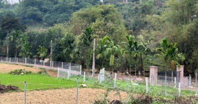 Thuế Hà Nội yêu cầu nộp hồ sơ trước 1/1/2027