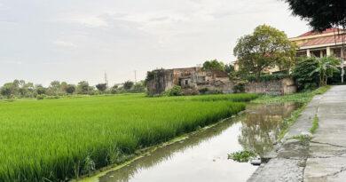 Đất nông nghiệp nằm lọt phía trong, không giáp đường có được chuyển lên đất ở?