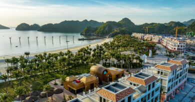 Xanh Island và khát vọng xóa nhòa khái niệm ‘ngủ đông’ tại Cát Bà