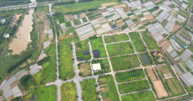3 bước, không thu phí