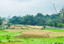 Đất nhận thừa kế có được giảm tiền sử dụng đất khi chuyển sang đất ở?
