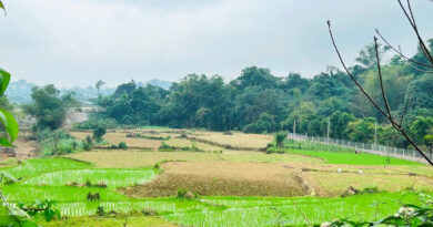 Thừa kế đất của người có công, con có được giảm tiền sử dụng đất?