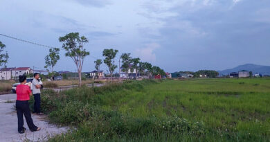 13 lô ế khách, 2 lô dừng đấu giá