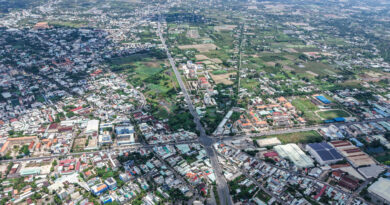 Anh cả kê khai 2 sào đất của bố mẹ, 20 năm sau em trai đòi chị dâu chia tiền