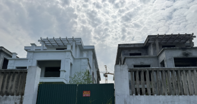 Phía sau biệt thự vùng ven Hà Nội giá hơn 100 triệu đồng/m2