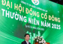 Quốc Cường Gia Lai xoay gần 1.500 tỷ đồng để lấy lại dự án ‘sống còn’