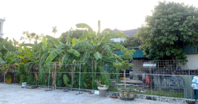 Bộ nêu căn cứ xác định đất ở và đất nông nghiệp chung một thửa